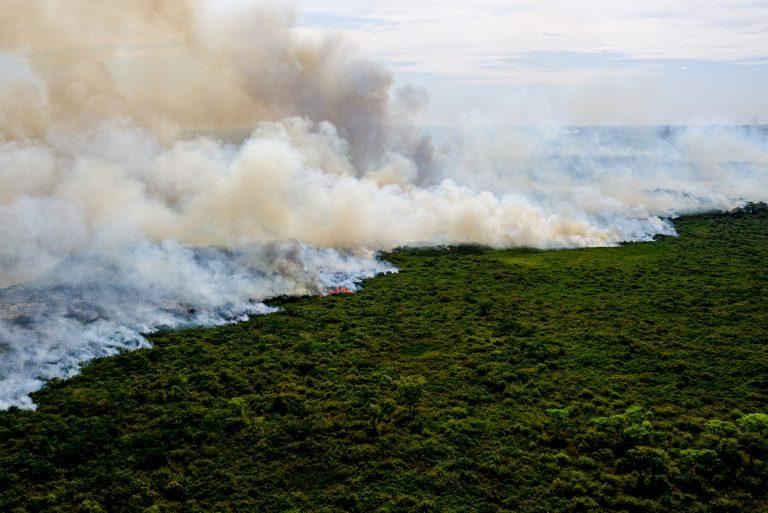 Incêndios na Amazônia dobram risco de morte entre indígenas, diz pesquisa | Mundo